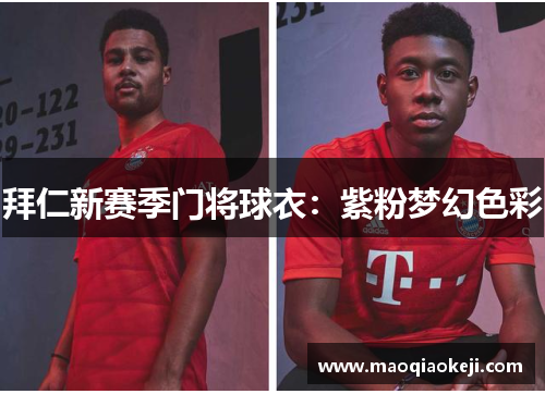 拜仁新赛季门将球衣：紫粉梦幻色彩