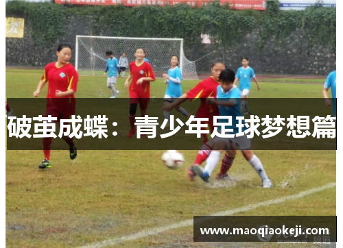 破茧成蝶：青少年足球梦想篇